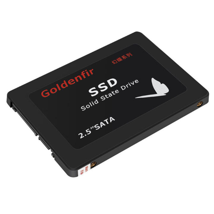 GOLDENFIR 256GB SATA SSD